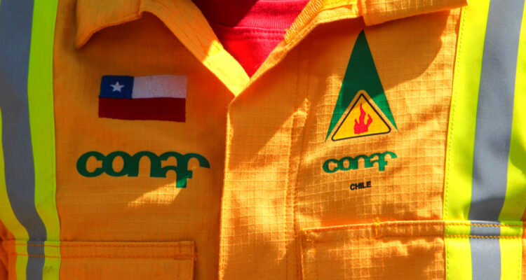 Cámara despacha al Senado nuevo Servicio Nacional Forestal que reemplaza a la Conaf