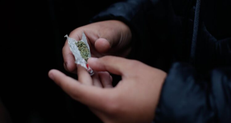Oficialistas presentan proyecto para regular el uso adulto del cannabis: “Reduce el mercado ilegal”