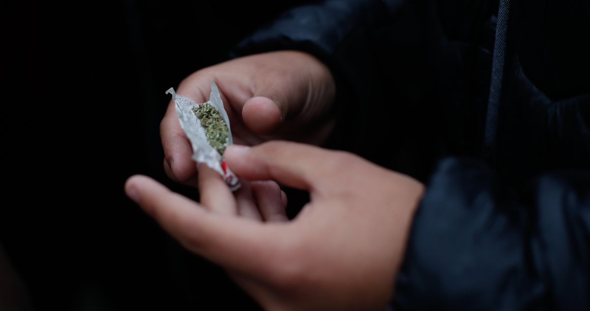 Oficialistas presentan proyecto para regular el uso adulto del cannabis: “Reduce el mercado ilegal”