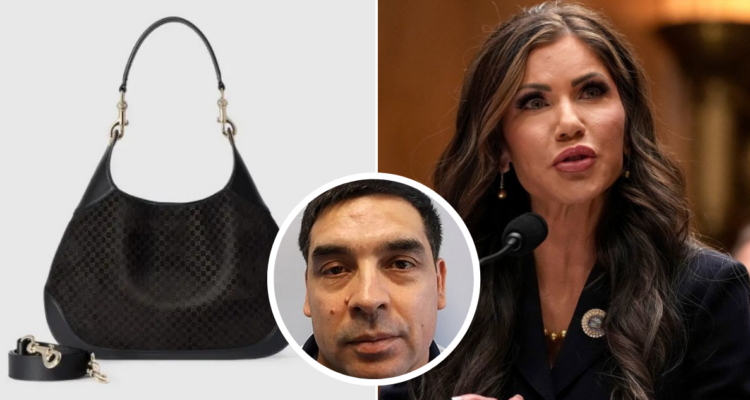 Cartera robada por chileno