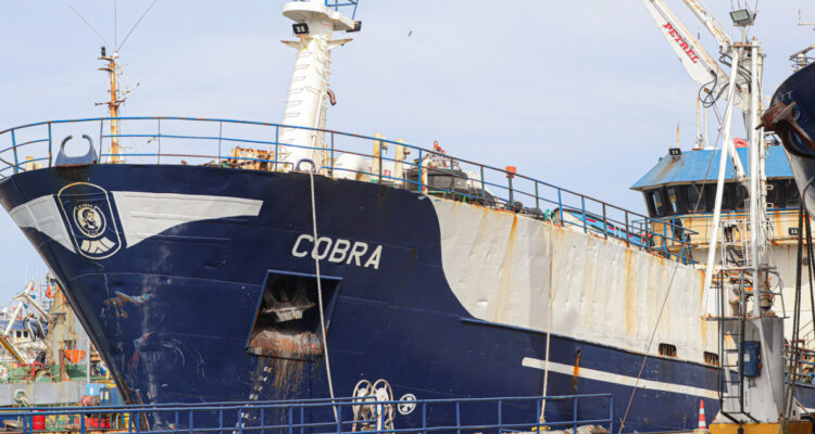 Afirman que faltan diligencias por caso Bruma a poco que termine plazo donde se liberaría buque Cobra