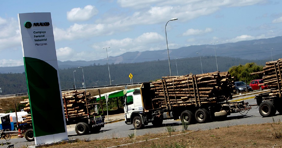 Delegado en La Araucanía dice que la forestal Arauco es quien debe pedir desalojo de fundo en Lumaco