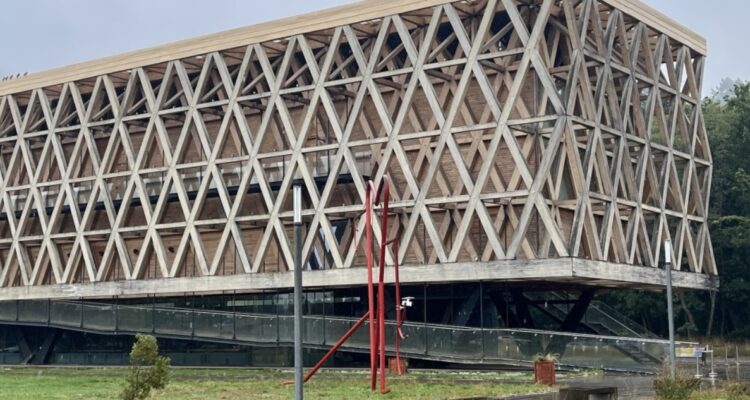 Esteban Araus – RBB Temuco