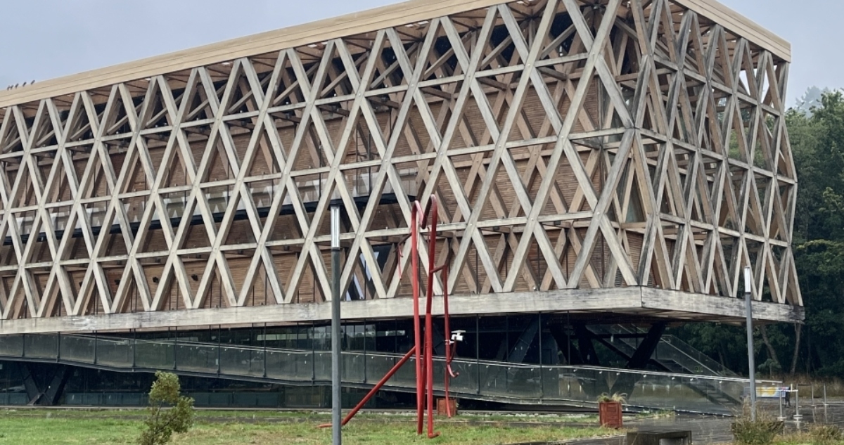 Esteban Araus – RBB Temuco