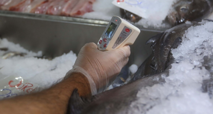 decomisos en Purranque