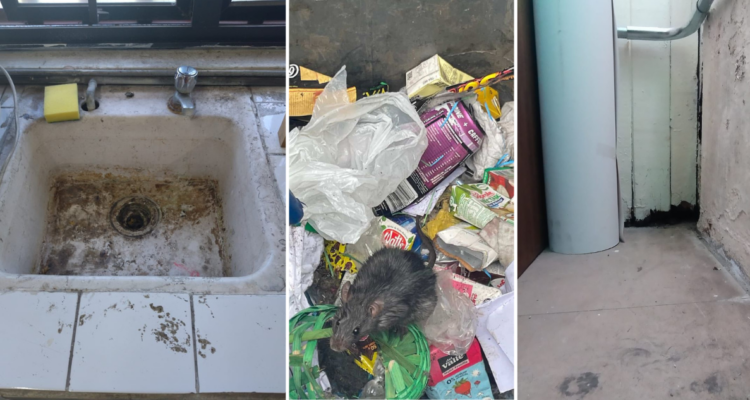 Dos liceos de Coronel están tomados: alumnos acusan problemas de ratones, seguridad e infraestructura