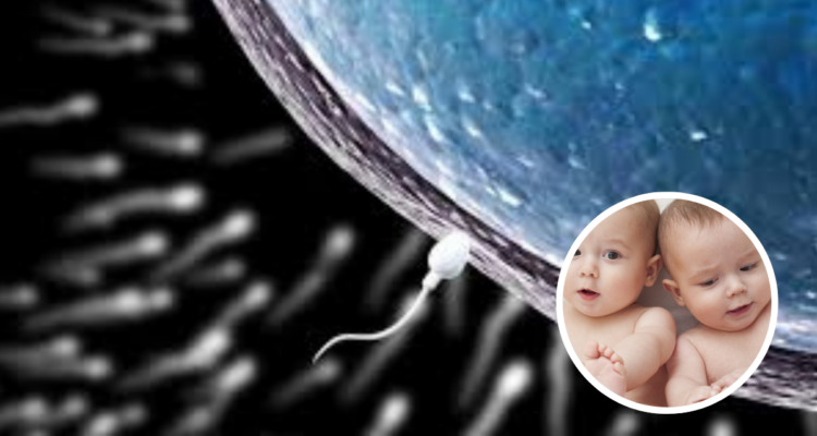 85 donantes de esperma en Países Bajos