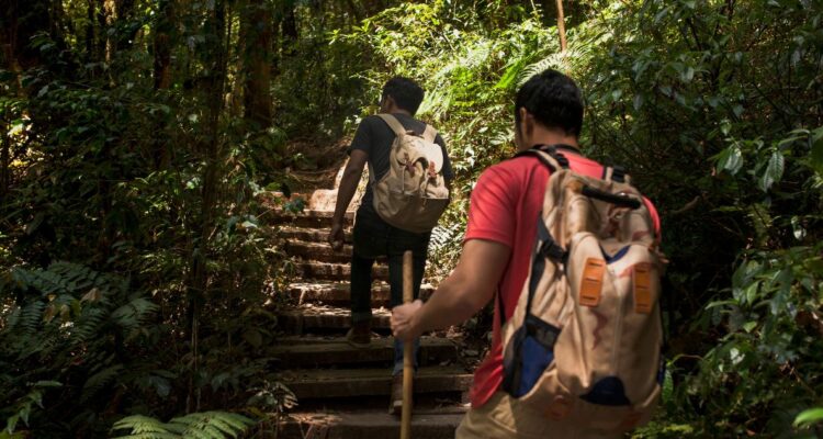 5 destinos en diferentes regiones de Chile donde se puede practicar ecoturismo o turismo sustentable en el fin de semana largo de Semana Santa 2025.