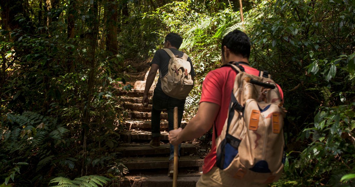 5 destinos en diferentes regiones de Chile donde se puede practicar ecoturismo o turismo sustentable en el fin de semana largo de Semana Santa 2025.
