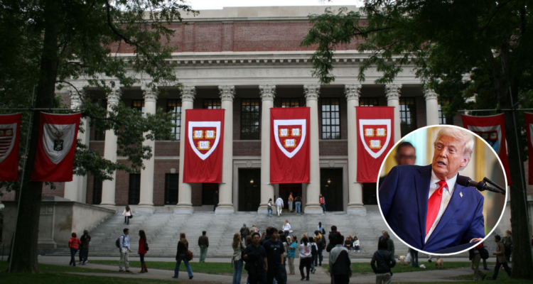 Harvard le planta cara a Trump y demanda al Gobierno de EEUU ante recortes de financiación federal