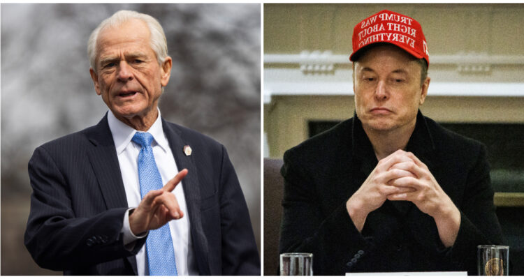 “Imbécil, tonto”: La fuerte pelea entre Elon Musk y un economista que asesoró a Trump con aranceles