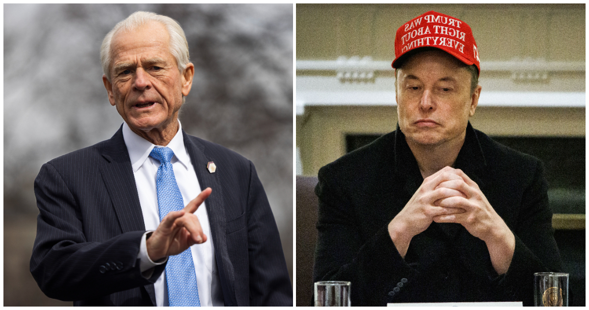 “Imbécil, tonto”: La fuerte pelea entre Elon Musk y un economista que asesoró a Trump con aranceles