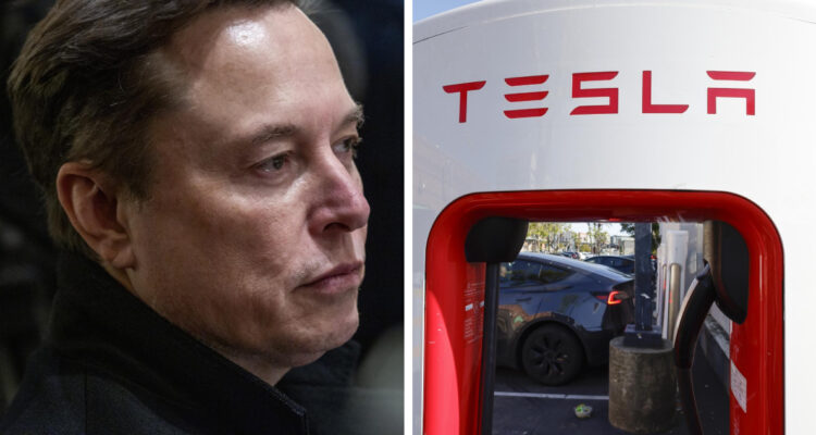 Entra la competencia china y el papel de Musk en la política: se desploman las ganancias de Tesla