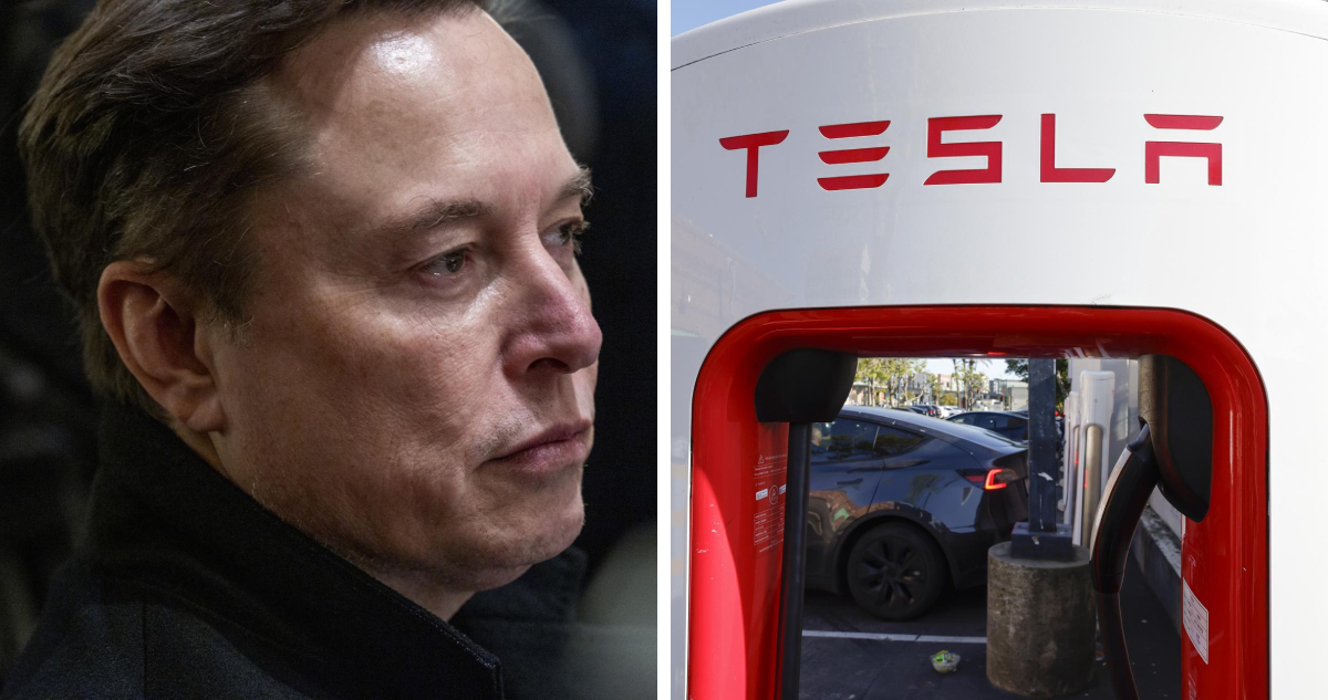 Entra la competencia china y el papel de Musk en la política: se desploman las ganancias de Tesla