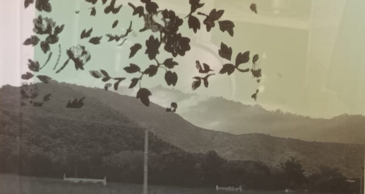 Ensayos de una casa, de Macarena García Moggia, Alquimia Ediciones