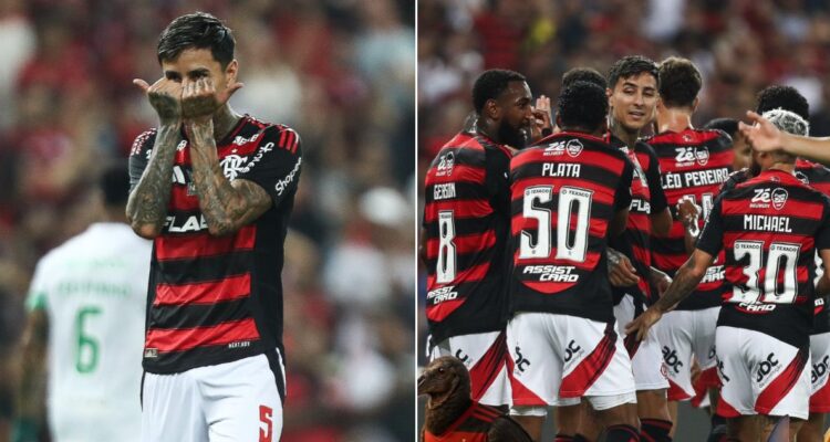 Erick Pulgar Flamengo