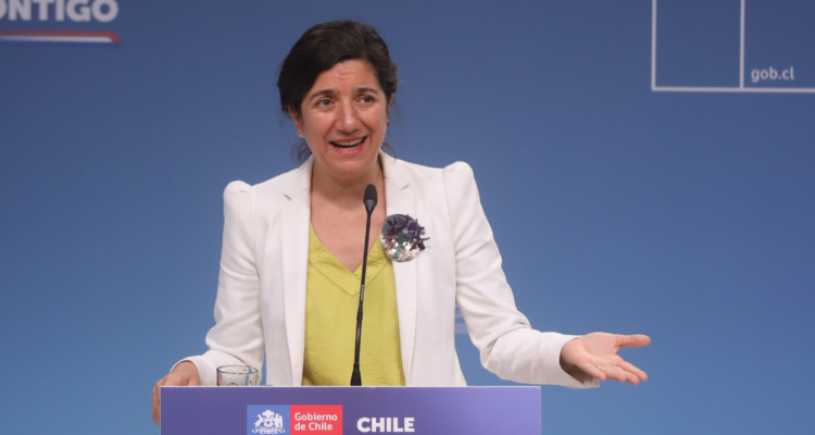 Etcheverry aclara dichos tras fallos del TC contra Allende: “El precedente grave viene de lo inédito”