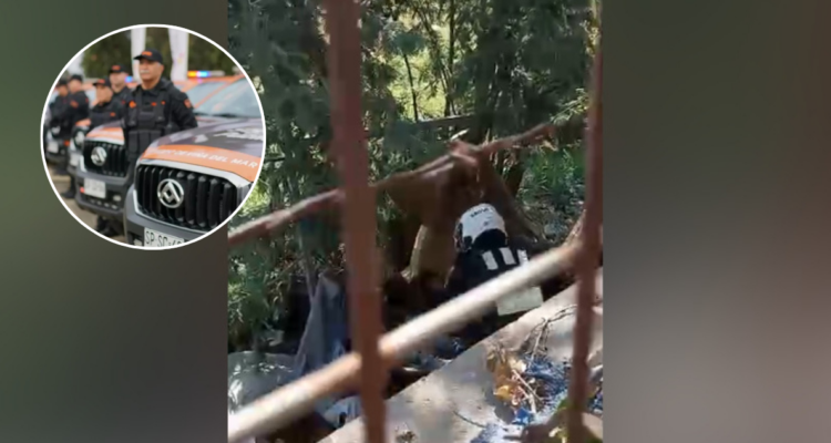 golpiza guardias de seguridad municipal a indigente en viña del mar genera debate por facultades de uso de fuerza y derechos humanos