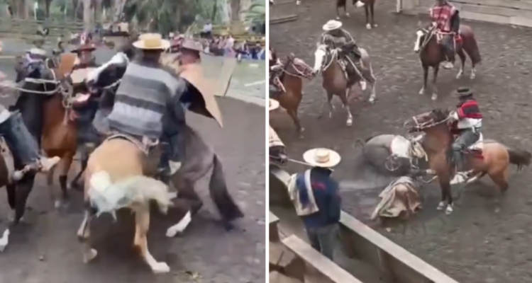 “¡Hay niños!”: Violenta pelea a caballo en rodeo de San Vicente termina con tres jinetes detenidos