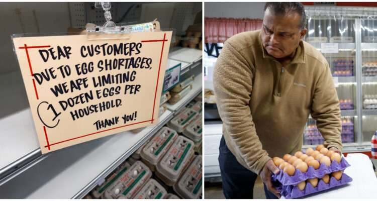 La escasez de huevos en EEUU no claudica y el precio llega a máximo histórico
