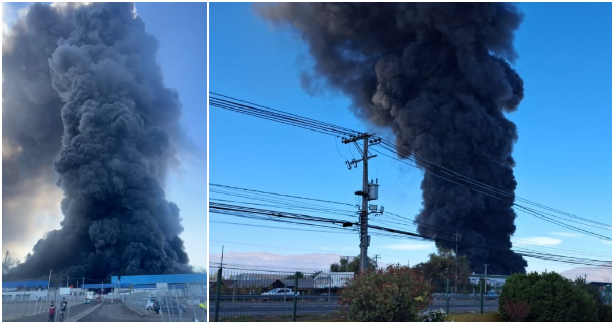 Gigantesco incendio afecta a una empresa en Paine