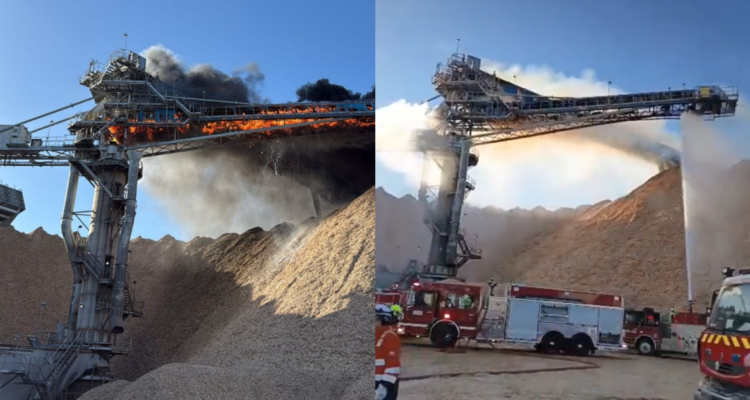 Controlan incendio en estructura de Celulosa Arauco: un bombero resultó con lesión leve