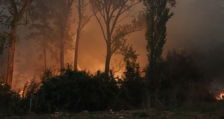 Incendio forestal por damnificados en Traiguén