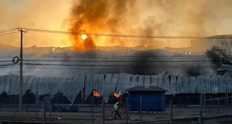 Se reactiva gigantesco incendio que destruye una empresa frutícola en Paine