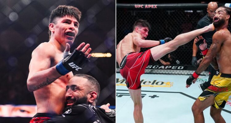 Jaula Bahamondes UFC