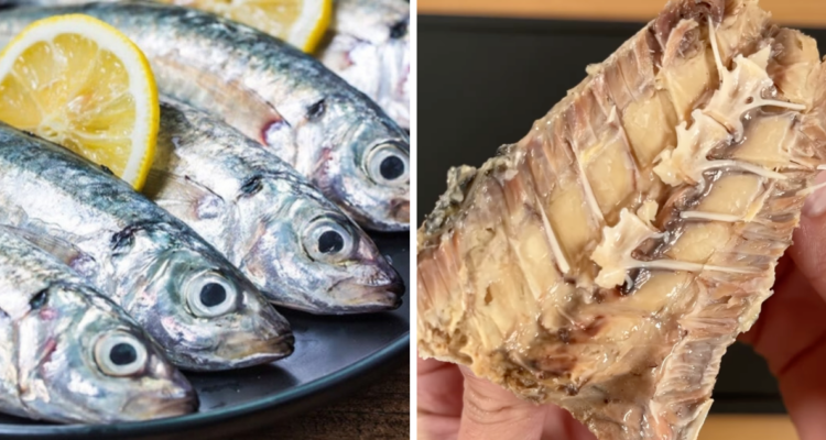 ¿Tiene tanta proteína como la carne de vacuno? Jurel, opción por excelencia para comer en Semana Santa