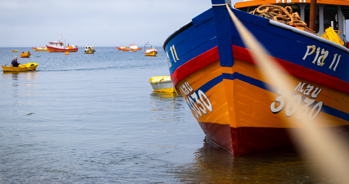 Ley de fraccionamiento avanza pero pesca industrial pone trabas