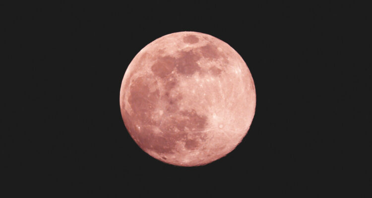 Una Luna Rosa para ilustrar nota sobre el calendario astronómico de abril 2025