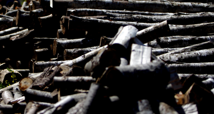 Madera apilada por hombre detenido por robo en predio de La Unión