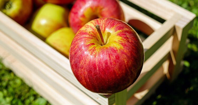 Tras tres meses de suspensión: Gobierno y Perú acuerdan reapertura de exportación de manzanas chilenas