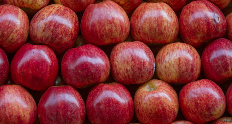 Los aranceles de Trump le darían una mano a las manzanas chilenas en el mercado brasileño