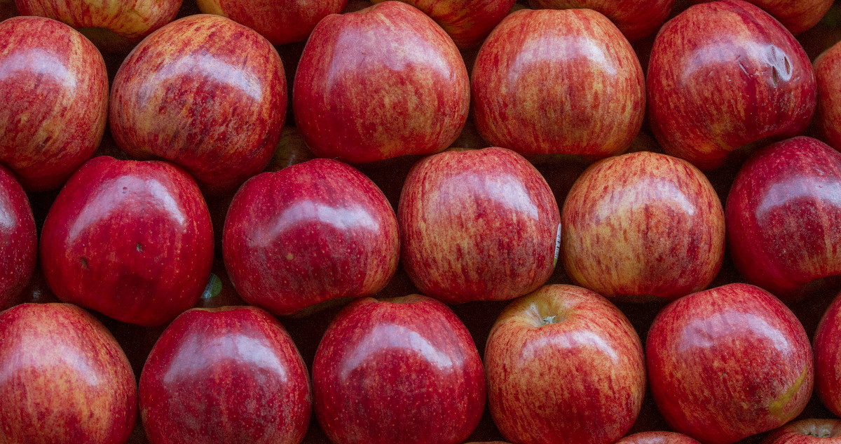 Los aranceles de Trump le darían una mano a las manzanas chilenas en el mercado brasileño