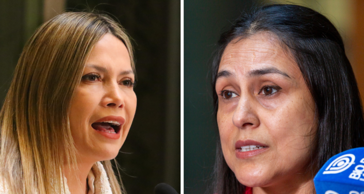 Diputadas Marlene Pérez y Francesca Muñoz por demora en inicio del año escolar de infractores de ley en Coronel