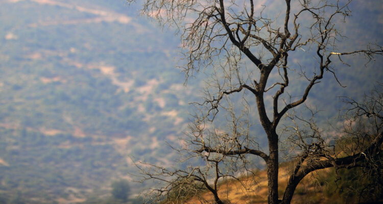 Critican un proyecto minero en Valle de Colliguay y apuntan a que generaría daños ambientales