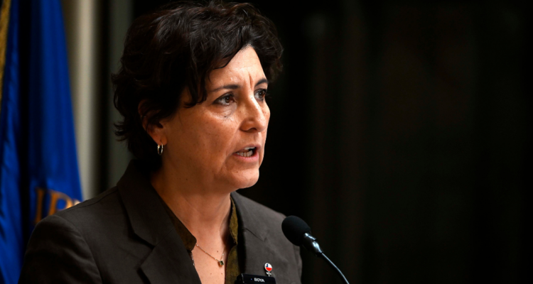 ministra de salud colegio médico