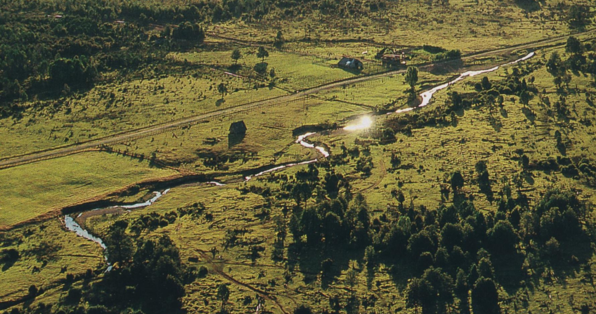 Monte verde arqueológico