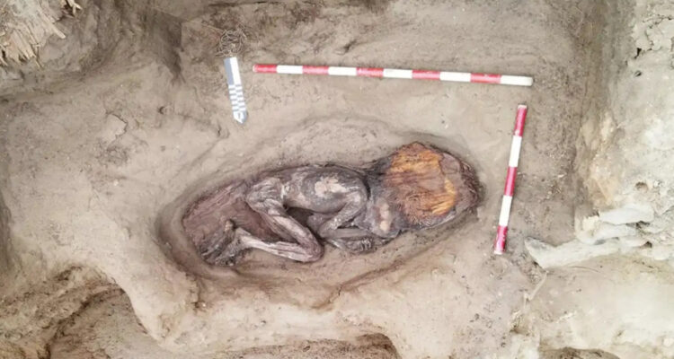 FOTOS | Hallan los restos muy bien conservados de una mujer noble enterrada en Perú hace 5.000 años