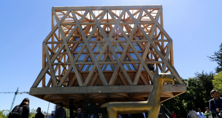 Imagen del Pabellón de La Araucanía por deudas de contribuciones