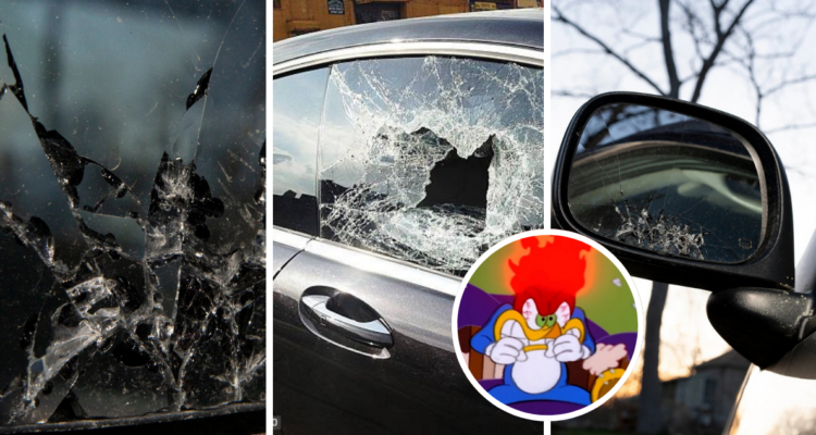 Pájaro carpintero destrozaba autos en pueblo de EEUU