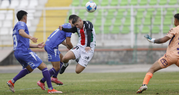 Palestino vs Deportes Concepción en Copa Chile