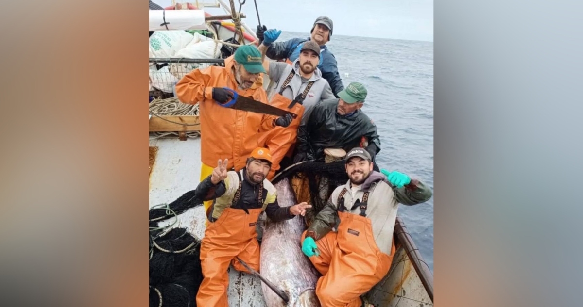 Pescadores desaparecidos en costas de Coronel