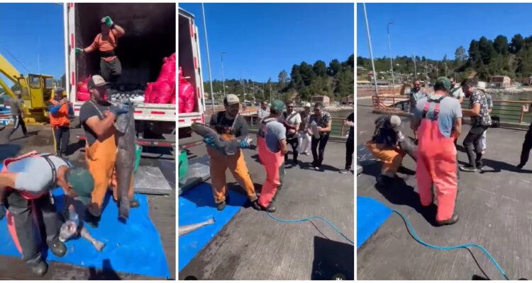 Pescadores de la lancha Bruma participaron en videoclip de grupo musical antes de su desaparición