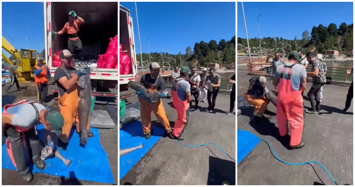 Pescadores de la lancha Bruma participaron en videoclip de grupo musical antes de su desaparición