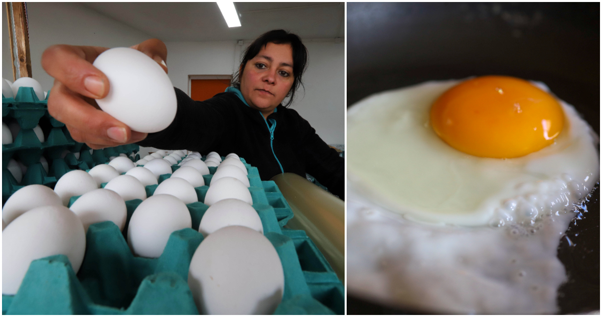 Gobierno explica por qué los huevos están tan caros y sugiere “combinarlos con acelga o cebolla”