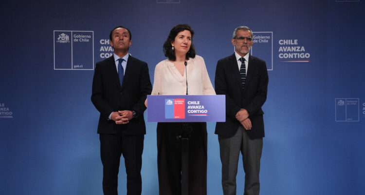 Gobierno se desmarca de contraofensiva de diputados PS tras fallo del TC: “Nosotros seguimos adelante”