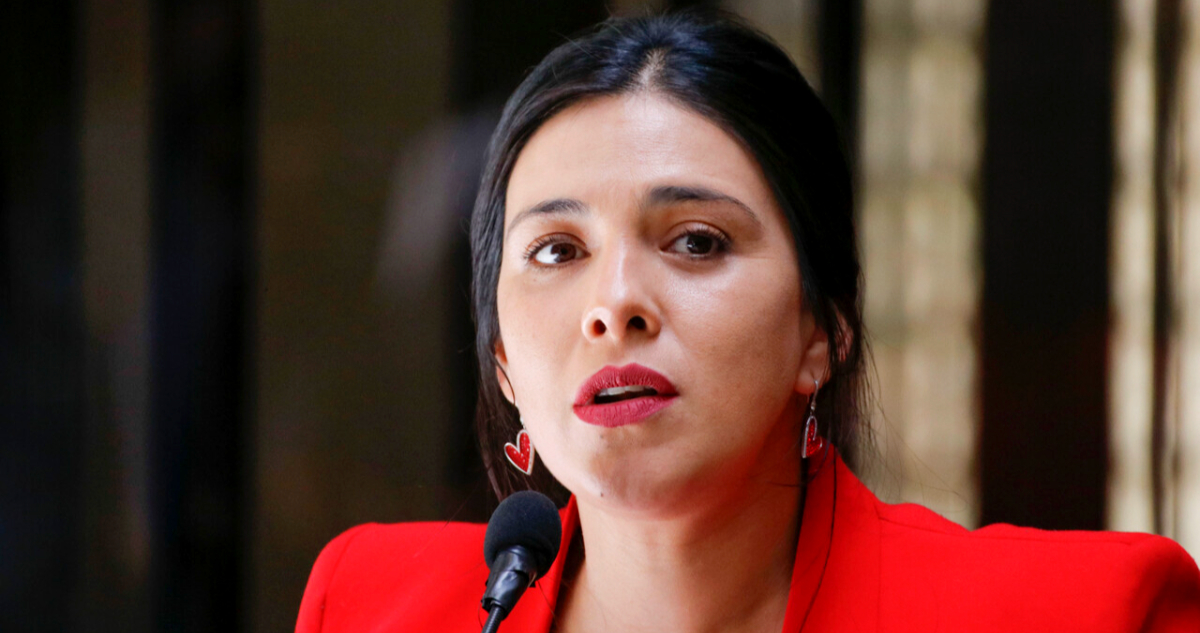 Reparación y reformas al sistema penal: las claves del escrito de Karol Cariola presentado a la CIDH